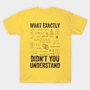 What Exactly Didn't You Understand, mathematics, Vintage style T-Shirt